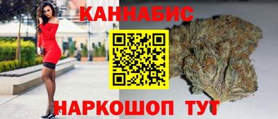 стаф Будённовск