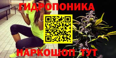 стаф Будённовск