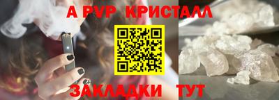 стаф Будённовск