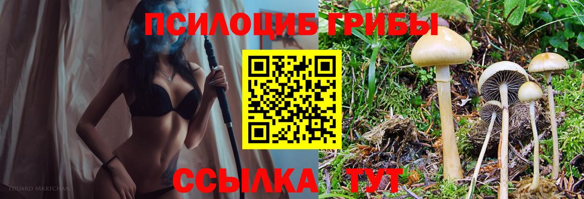 Людиново  Галлюциногенные грибы мухоморы  цена наркотик  Вход с VPN  Псилоцибиновые грибы Psilocybine cubensis 