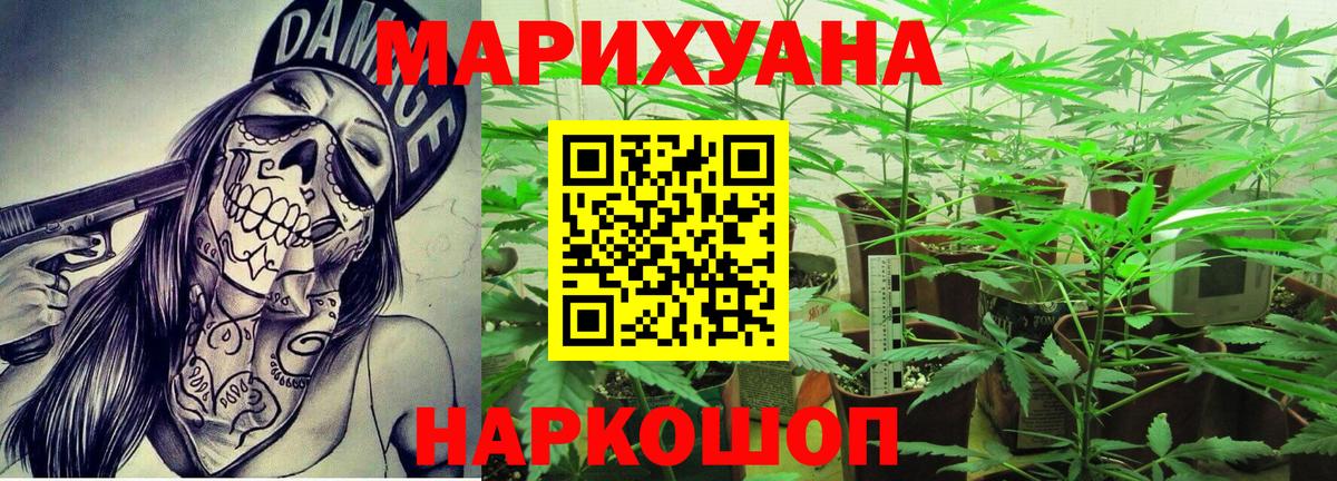 Людиново  Конопля конопля  Вход с VPN  Бошки марихуана White Widow 